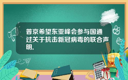 普京希望东亚峰会参与国通过关于抗击新冠病毒的联合声明.