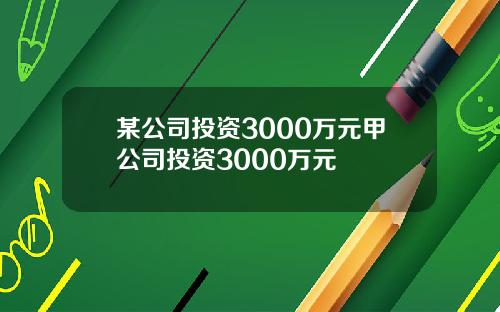 某公司投资3000万元甲公司投资3000万元