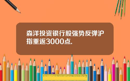 森洋投资银行股强势反弹沪指重返3000点.