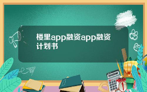 楼里app融资app融资计划书