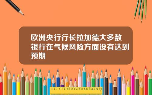 欧洲央行行长拉加德大多数银行在气候风险方面没有达到预期