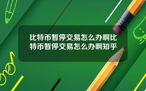 比特币暂停交易怎么办啊比特币暂停交易怎么办啊知乎