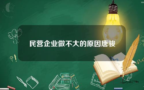 民营企业做不大的原因唐骏