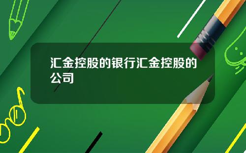 汇金控股的银行汇金控股的公司