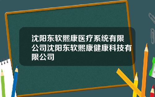 沈阳东软熙康医疗系统有限公司沈阳东软熙康健康科技有限公司