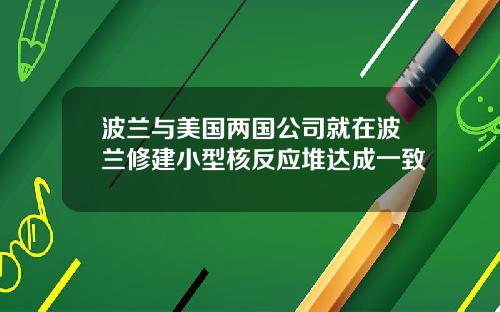 波兰与美国两国公司就在波兰修建小型核反应堆达成一致