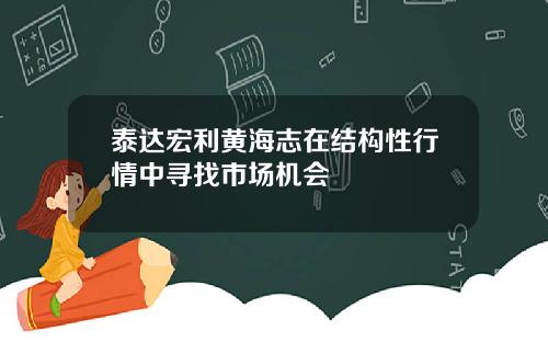 泰达宏利黄海志在结构性行情中寻找市场机会