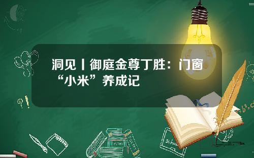 洞见丨御庭金尊丁胜：门窗“小米”养成记