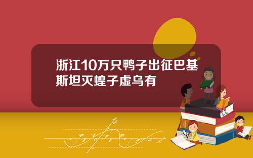 浙江10万只鸭子出征巴基斯坦灭蝗子虚乌有