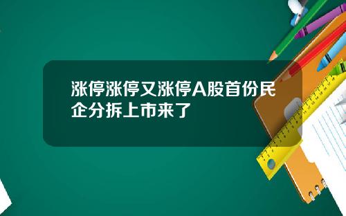 涨停涨停又涨停A股首份民企分拆上市来了