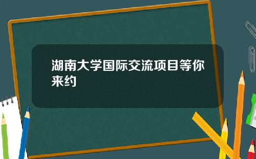 湖南大学国际交流项目等你来约