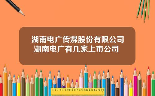 湖南电广传媒股份有限公司 湖南电广有几家上市公司