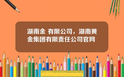 湖南金 有限公司，湖南黄金集团有限责任公司官网