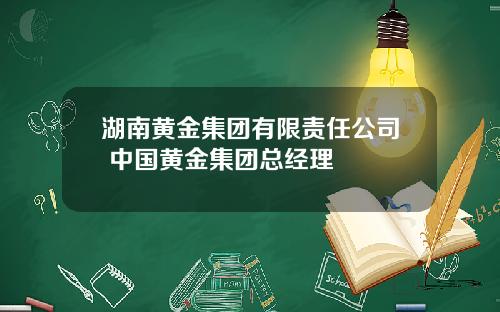 湖南黄金集团有限责任公司 中国黄金集团总经理