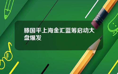 滕国平上海金汇蓝筹启动大盘爆发