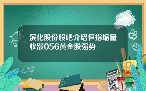 滨化股份股吧介绍恒指缩量收涨056黄金股强势