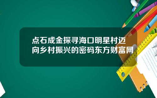 点石成金探寻海口明星村迈向乡村振兴的密码东方财富网