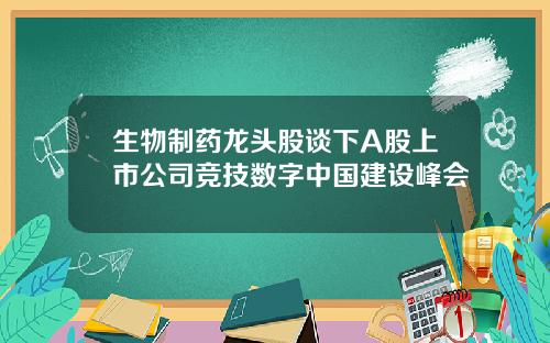 生物制药龙头股谈下A股上市公司竞技数字中国建设峰会