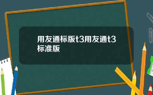 用友通标版t3用友通t3标准版