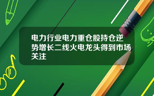 电力行业电力重仓股持仓逆势增长二线火电龙头得到市场关注