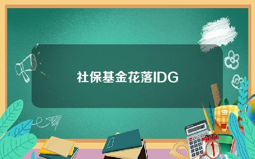 社保基金花落IDG