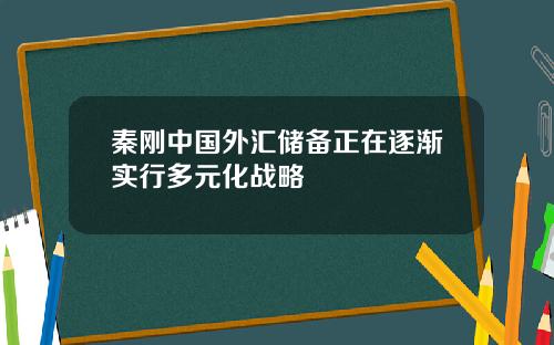 秦刚中国外汇储备正在逐渐实行多元化战略