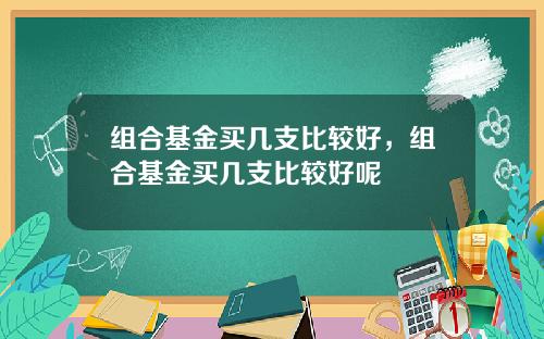 组合基金买几支比较好，组合基金买几支比较好呢