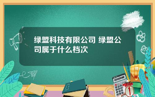 绿盟科技有限公司 绿盟公司属于什么档次