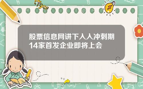 股票信息网讲下入入冲刺期14家首发企业即将上会