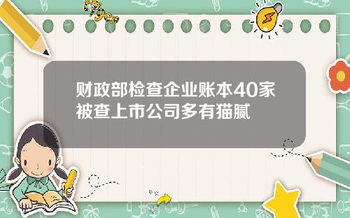 财政部检查企业账本40家被查上市公司多有猫腻