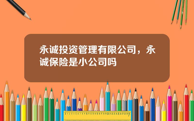 永诚投资管理有限公司，永诚保险是小公司吗