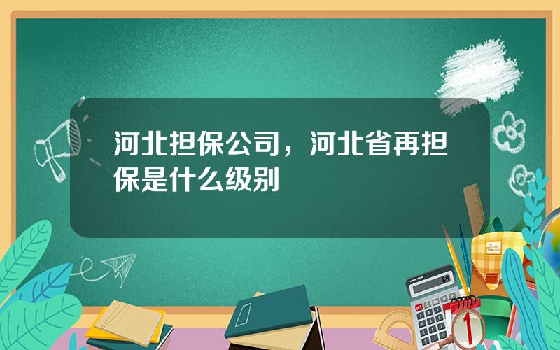 河北担保公司，河北省再担保是什么级别