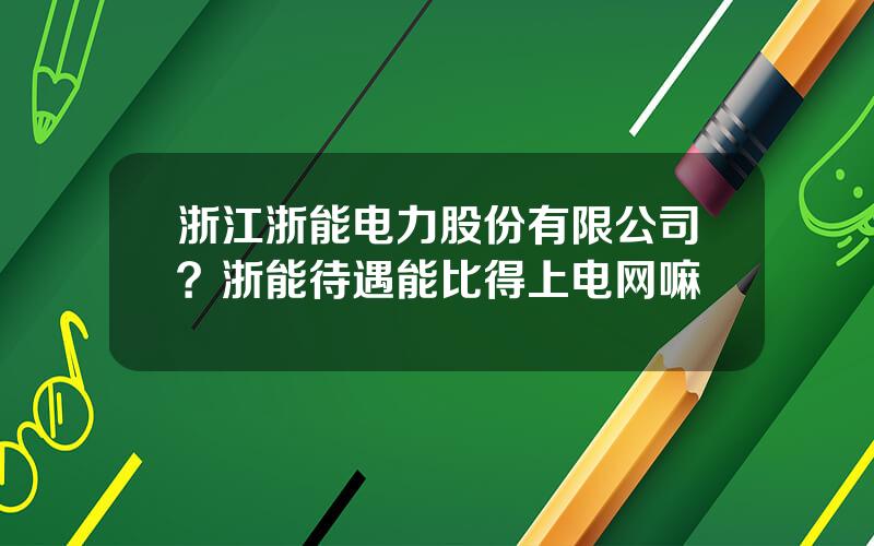 浙江浙能电力股份有限公司？浙能待遇能比得上电网嘛