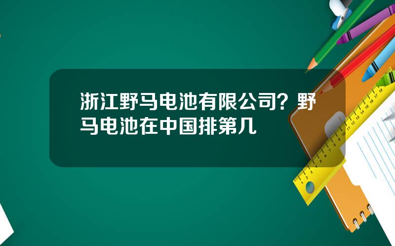 浙江野马电池有限公司？野马电池在中国排第几