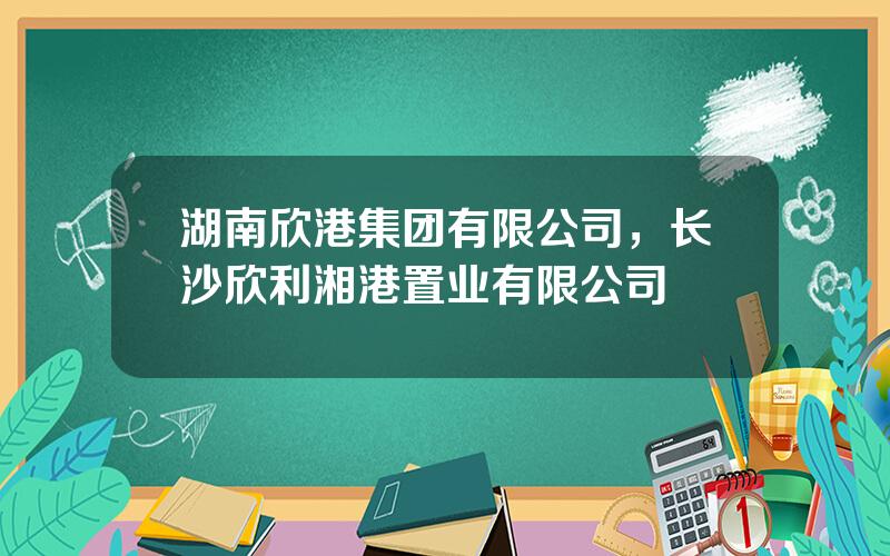 湖南欣港集团有限公司，长沙欣利湘港置业有限公司