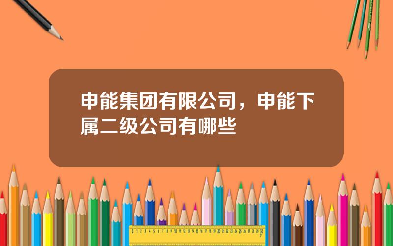 申能集团有限公司，申能下属二级公司有哪些