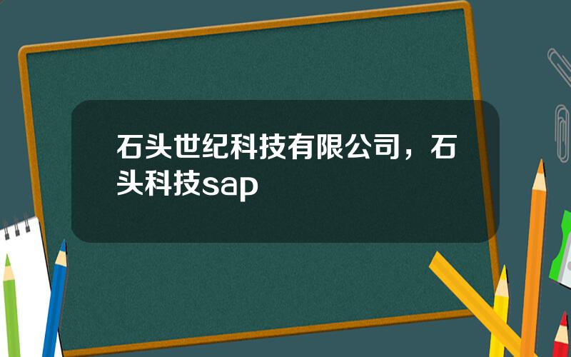 石头世纪科技有限公司，石头科技sap