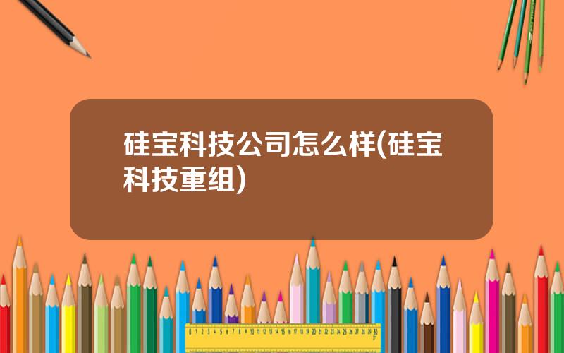 硅宝科技公司怎么样(硅宝科技重组)