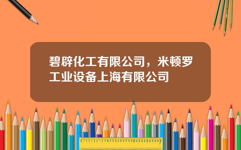 碧辟化工有限公司，米顿罗工业设备上海有限公司