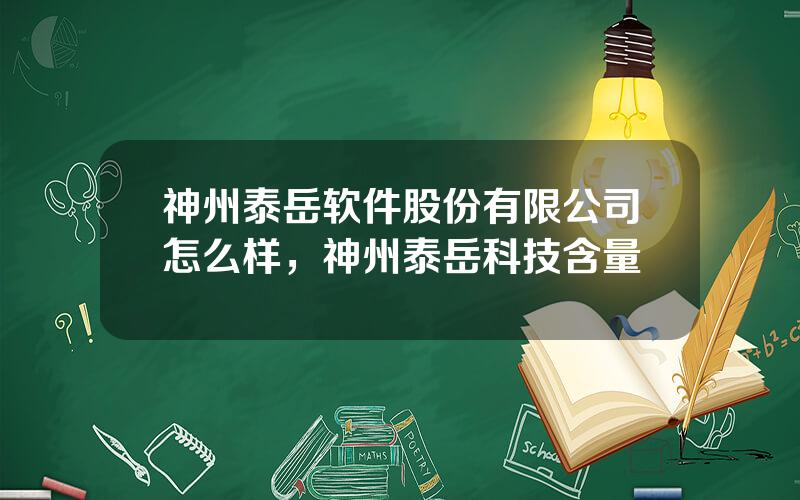 神州泰岳软件股份有限公司怎么样，神州泰岳科技含量