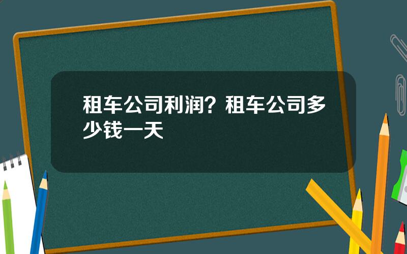 租车公司利润？租车公司多少钱一天