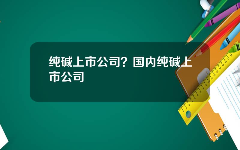 纯碱上市公司？国内纯碱上市公司