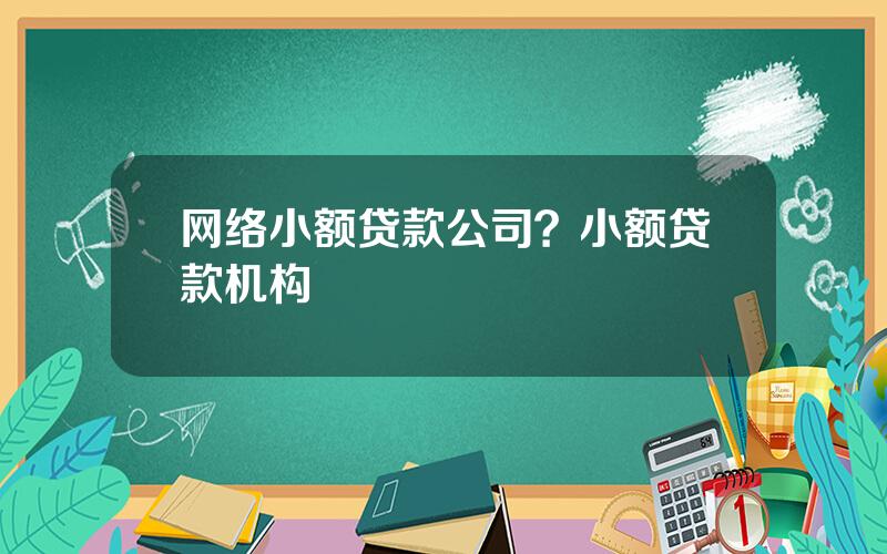 网络小额贷款公司？小额贷款机构