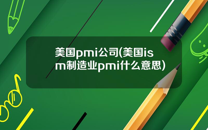 美国pmi公司(美国ism制造业pmi什么意思)