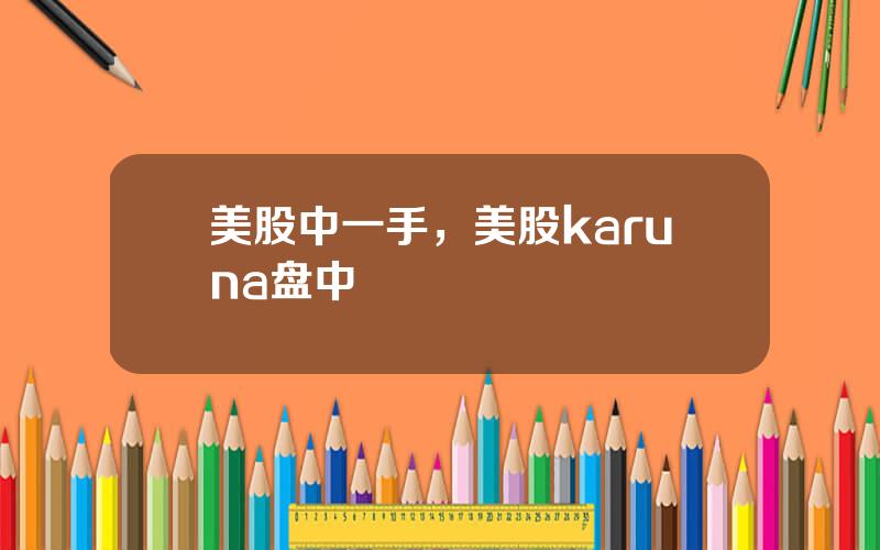 美股中一手，美股karuna盘中