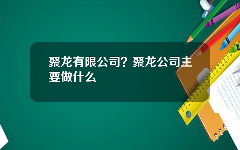 聚龙有限公司？聚龙公司主要做什么