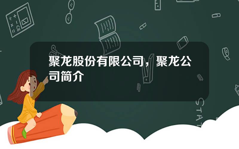 聚龙股份有限公司，聚龙公司简介