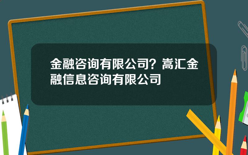 金融咨询有限公司？嵩汇金融信息咨询有限公司