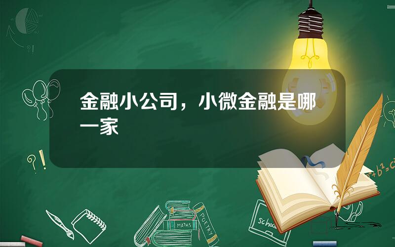 金融小公司，小微金融是哪一家