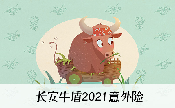 长安牛盾2021适合哪些人购买？长安保险公司靠谱吗？哪里买？